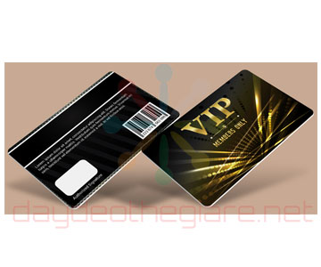 the vip 2